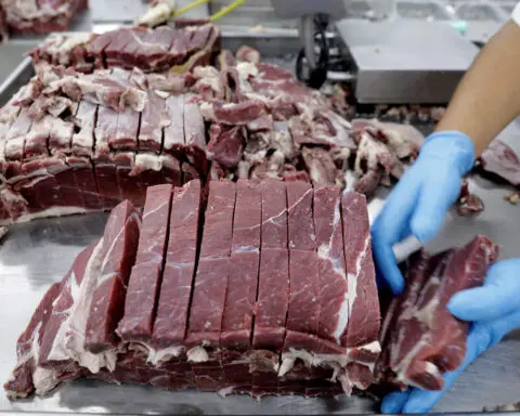 China and Brazil to try out beef traceability plan