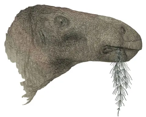The most complete UK dinosaur in a century found on the Isle of Wight