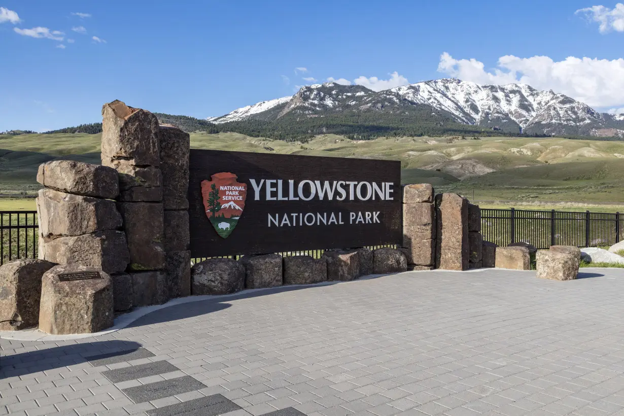 Yellowstone Shooting