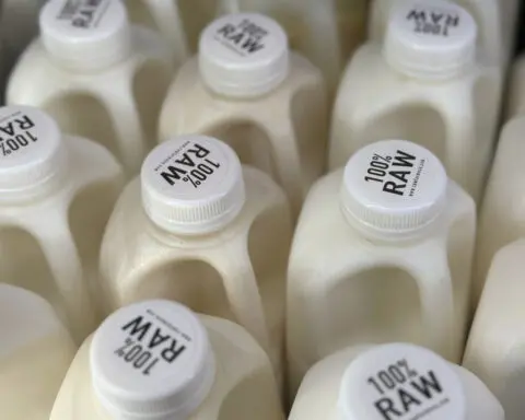 Dozens were sickened with salmonella after drinking raw milk from a California farm