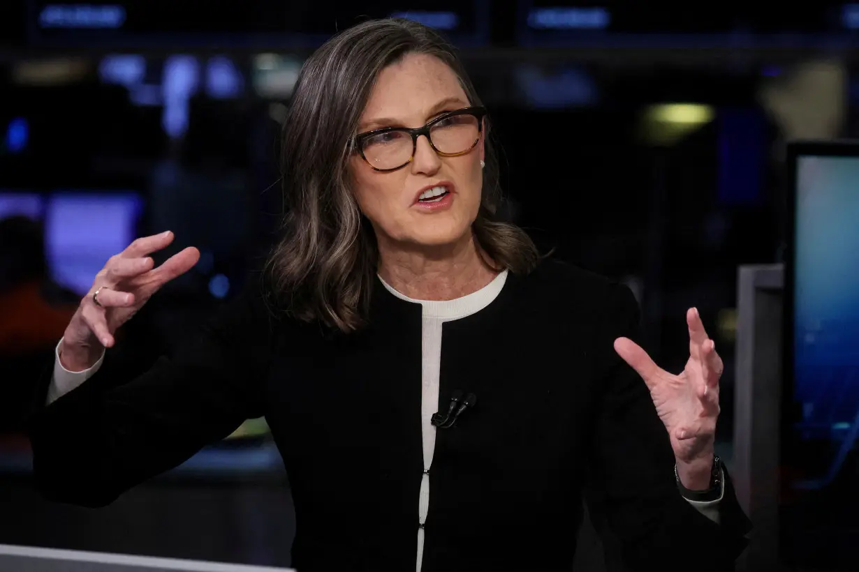 FILE PHOTO: Cathie Wood, CEO of Ark Invest, speaks during an interview on CNBC on the floor of the NYSE in New York