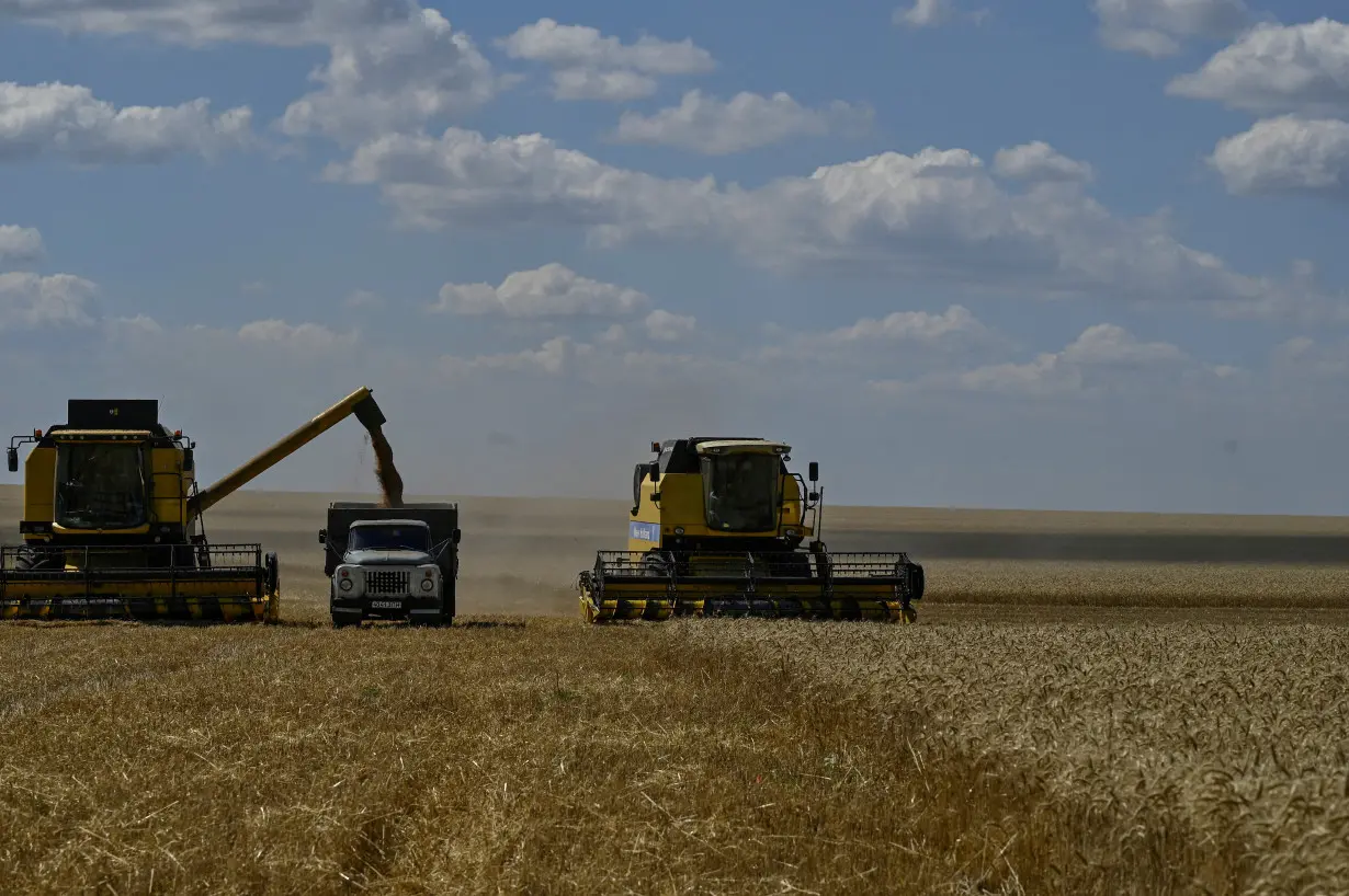 FILE PHOTO: Wheat harvesting in Zaporizhzhia region