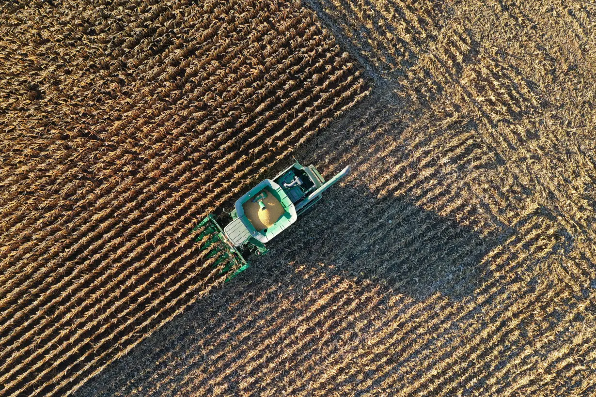 FILE PHOTO: A farmer harvests corn from in this aerial photograph taken over Woodburn,