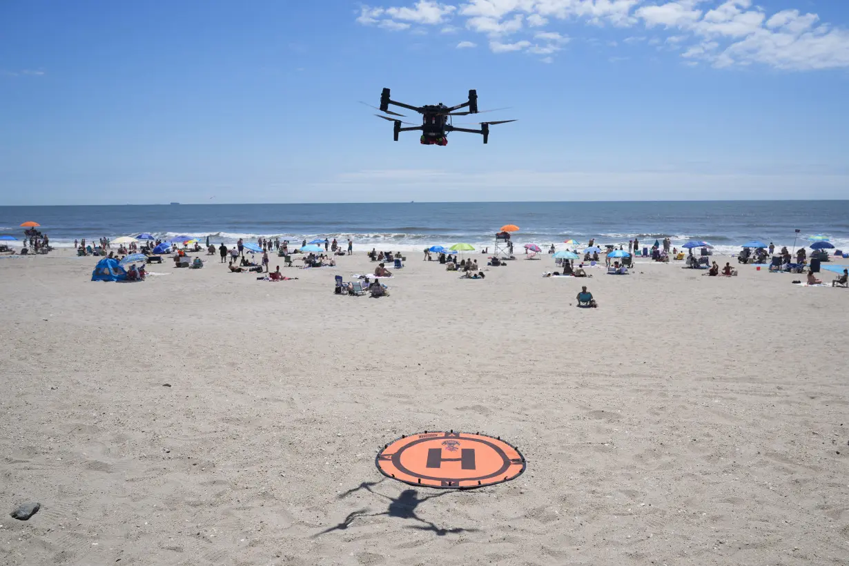 Drone Beach Bird Attacks