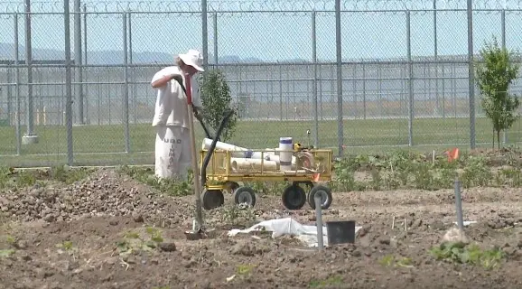 Garden coming to women's side of prison will foster peace, inmate says