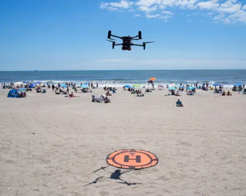 On NYC beaches, angry birds fight drones patrolling for sharks and struggling swimmers