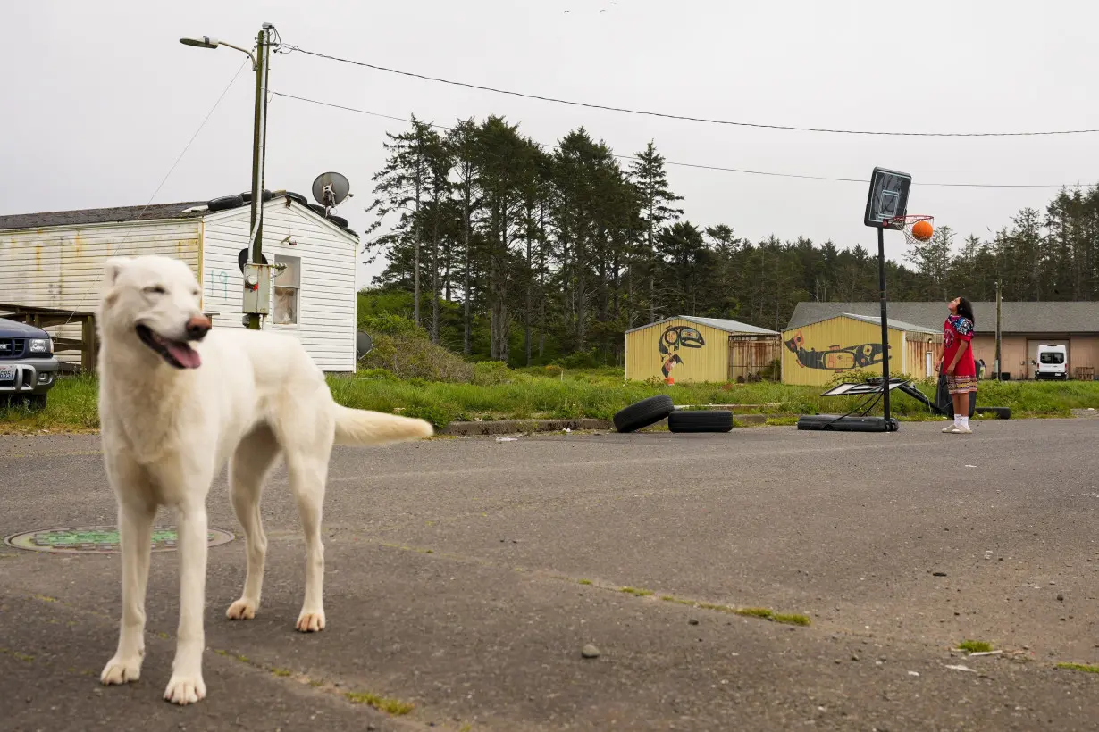 APTOPIX Climate Migration Quinault Nation