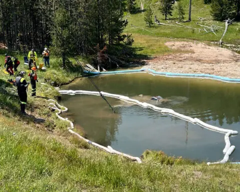 Car carrying 5 people runs off the road and into a hot geyser in Yellowstone