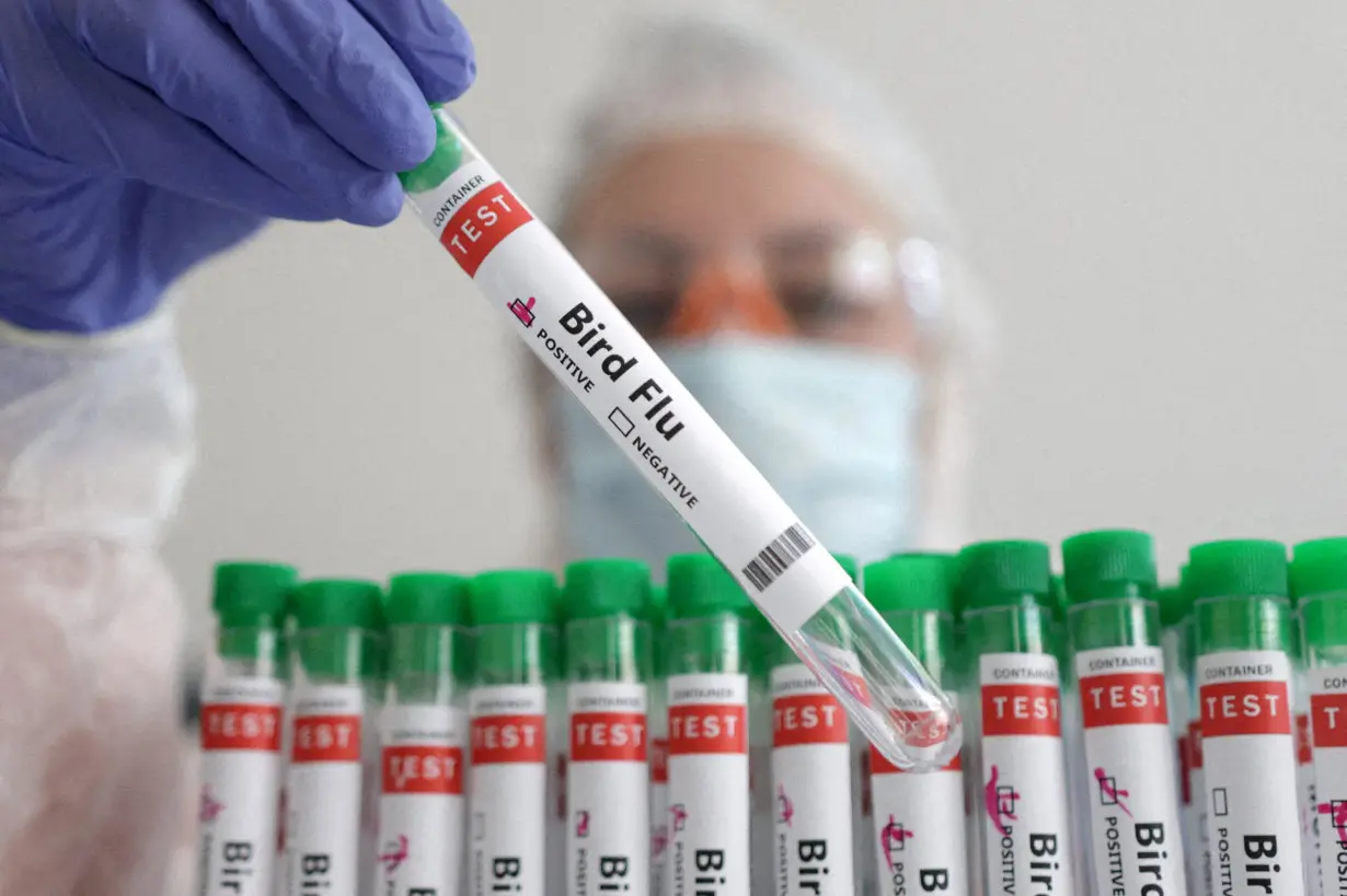 FILE PHOTO: Illustration shows person holding test tube labelled 