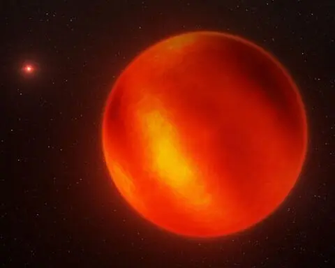 Webb telescope reveals wild weather on cosmic brown dwarfs