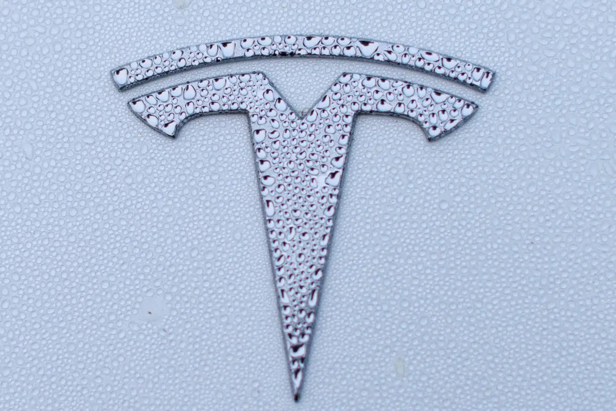 FILE PHOTO: FILE PHOTO: Tesla logo shown on Model Y vehicle in California