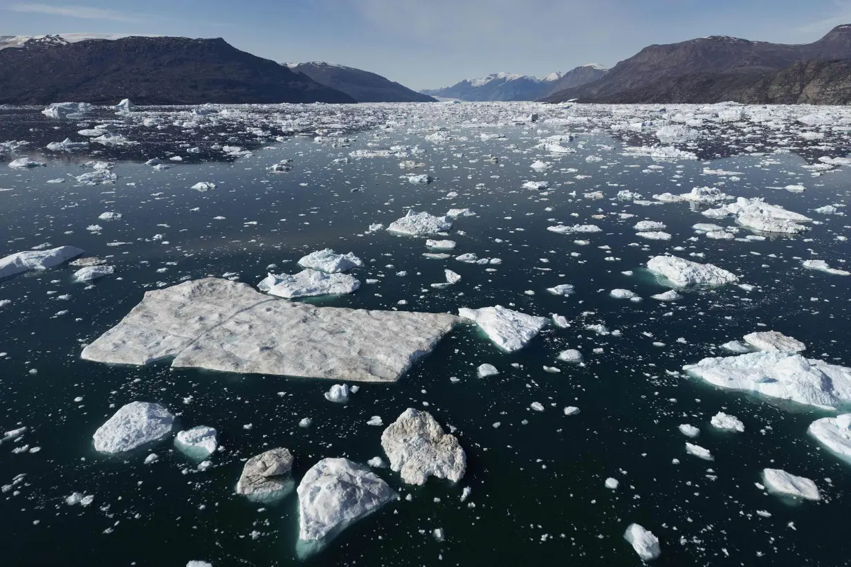 Icebergs drifting along the Scoresby Sound Fjord, in East Greenland.