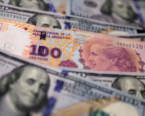 Argentina's parallel peso strengthens on new economic measures, stock index plummets
