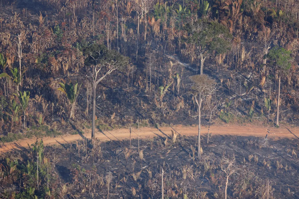 FILE PHOTO: Experts boost Amazon monitoring as annual burning season picks up