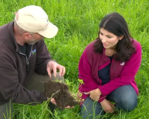 Farmers turn to regenerative agriculture to deal with climate extremes