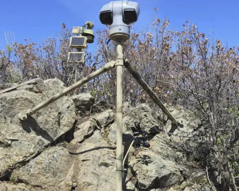 Webcam monitors hundreds of rattlesnakes at a Colorado 'mega den' for citizen science