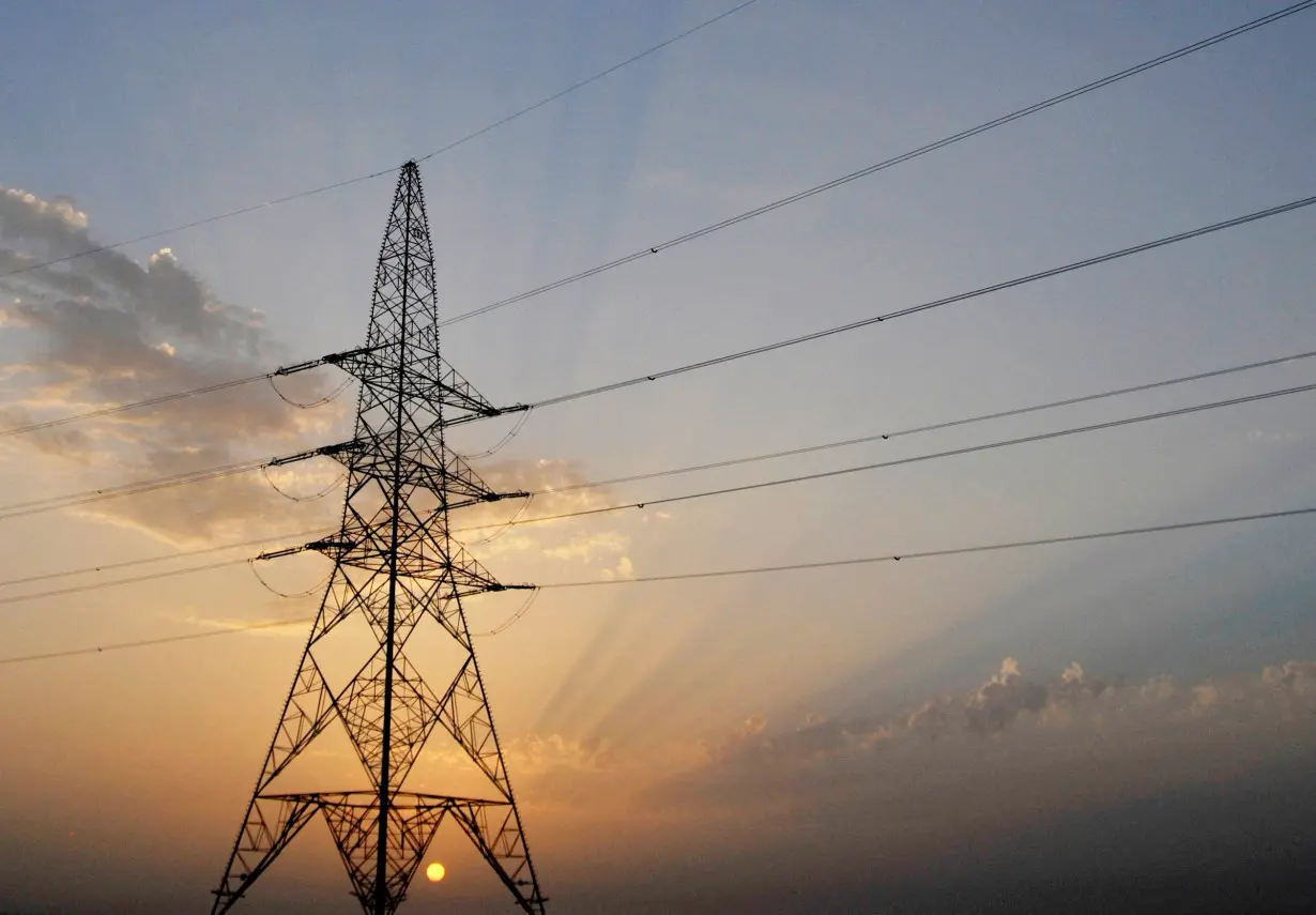 FILE PHOTO: An electric pylon supporting power cables is seen near the Western Region of Liwa near Abu Dhabi