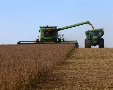 Cold temperatures to subside in Argentina's agricultural heartland