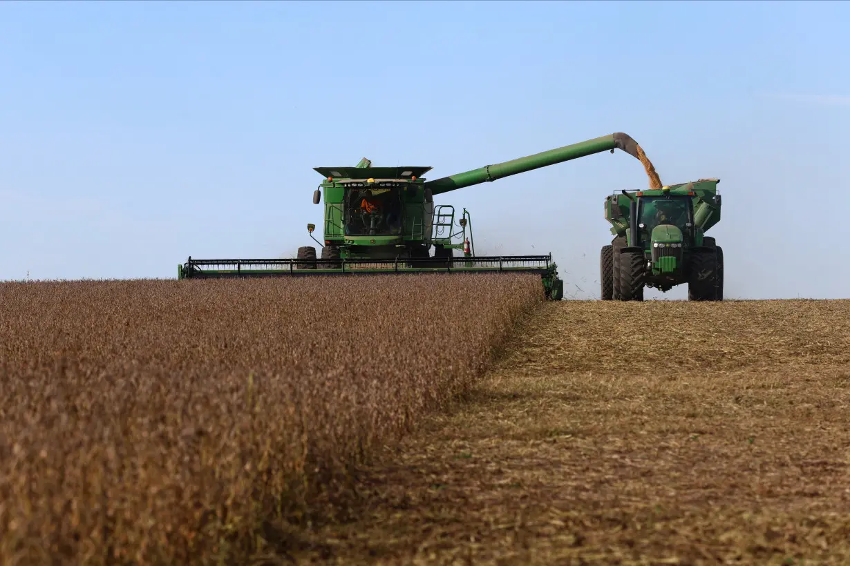 Argentina soy farmers wait on rising prices to sell rain-drenched crop