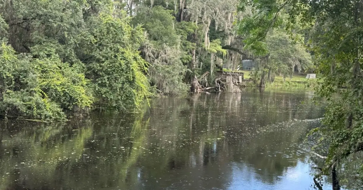 Woman survives alligator attack in Florida river