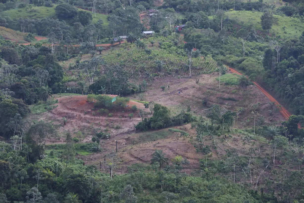 FILE PHOTO: A deforested area in the middle of the jungle is seen during a military flyover in Tumaco