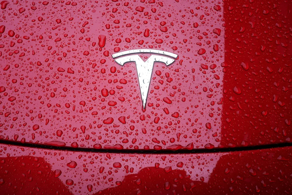 FILE PHOTO: A Tesla logo is pictured on a car in the rain in New York City