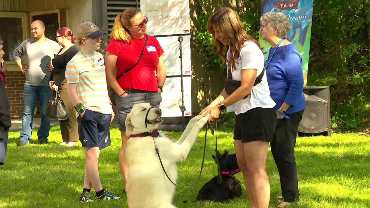 New Twin Cities domestic violence shelter to allow pets