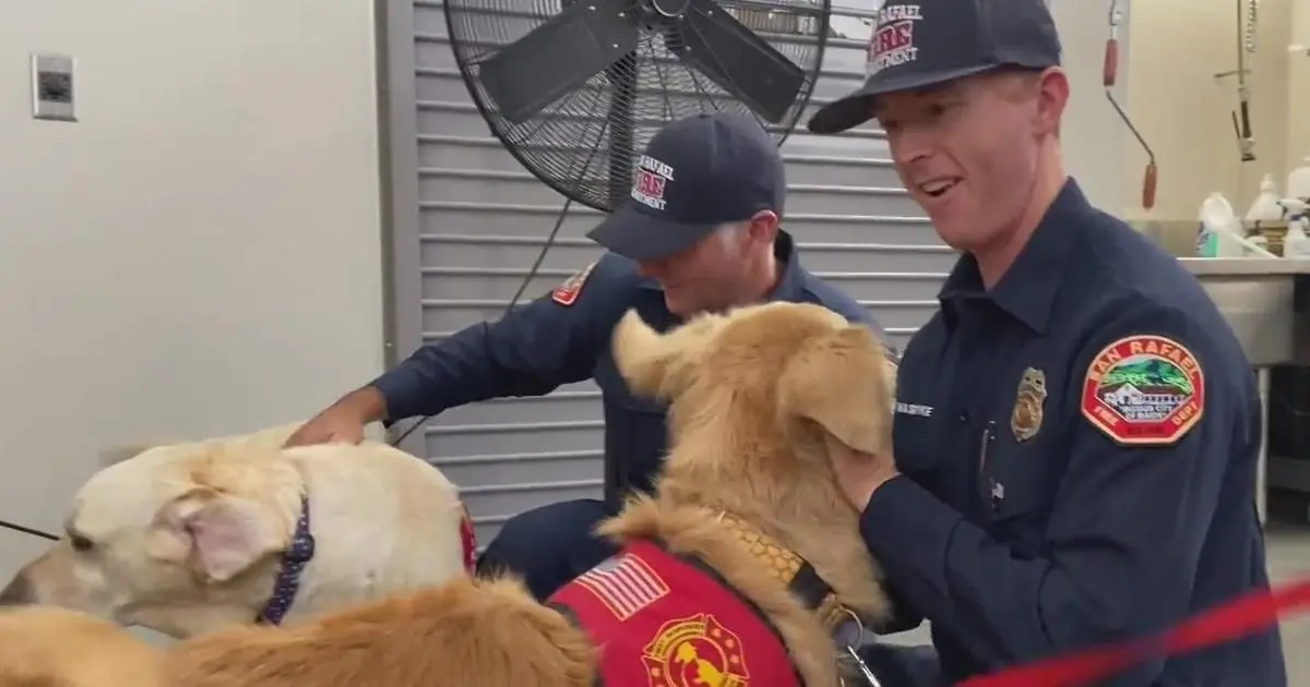 Marin therapy dog group for first responders expands nationwide