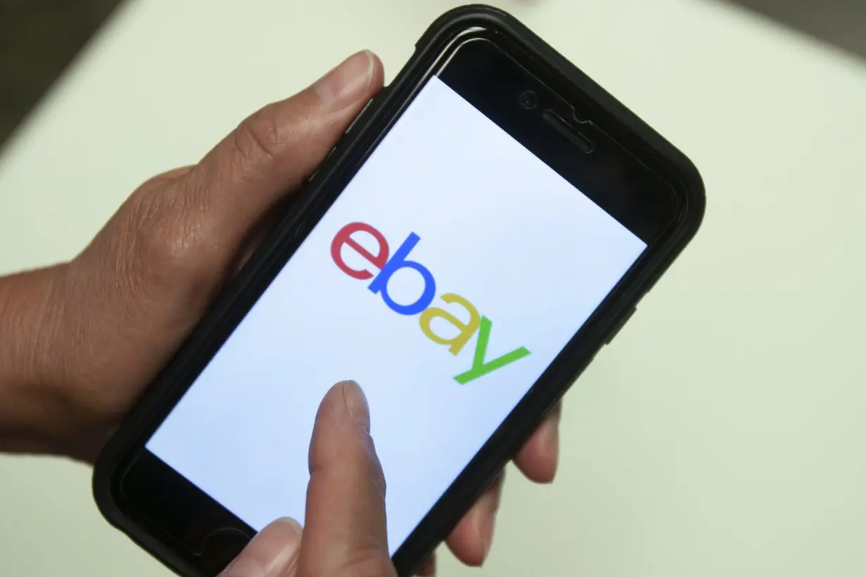 eBay Harassment Campaign