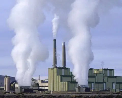 US appeals court allows EPA rule on coal-fired power plants to remain in place amid legal challenges
