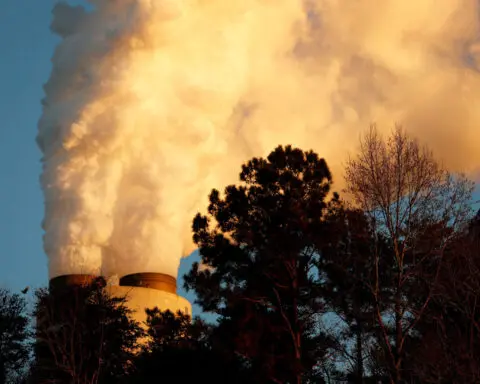 US court will not halt power plant emissions rule as states challenge it