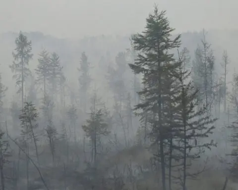 Russia battles forest fires amid another hot summer