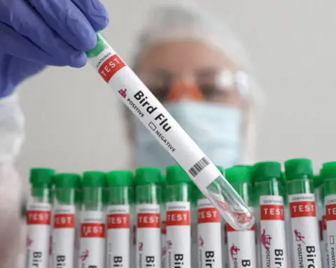US CDC confirms two additional bird flu cases in Colorado