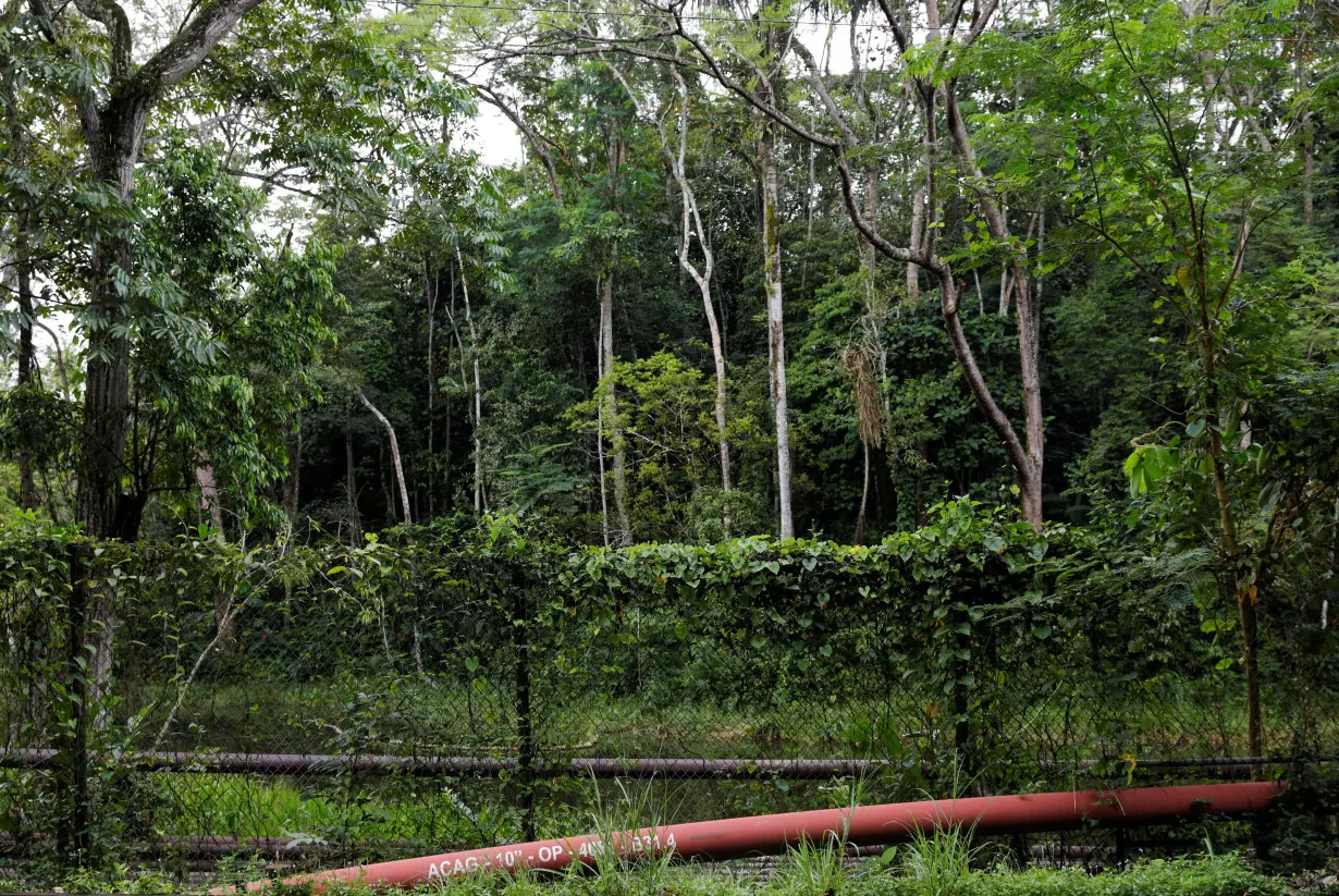 FILE PHOTO: An oil pipeline in Orellana province, Ecuador