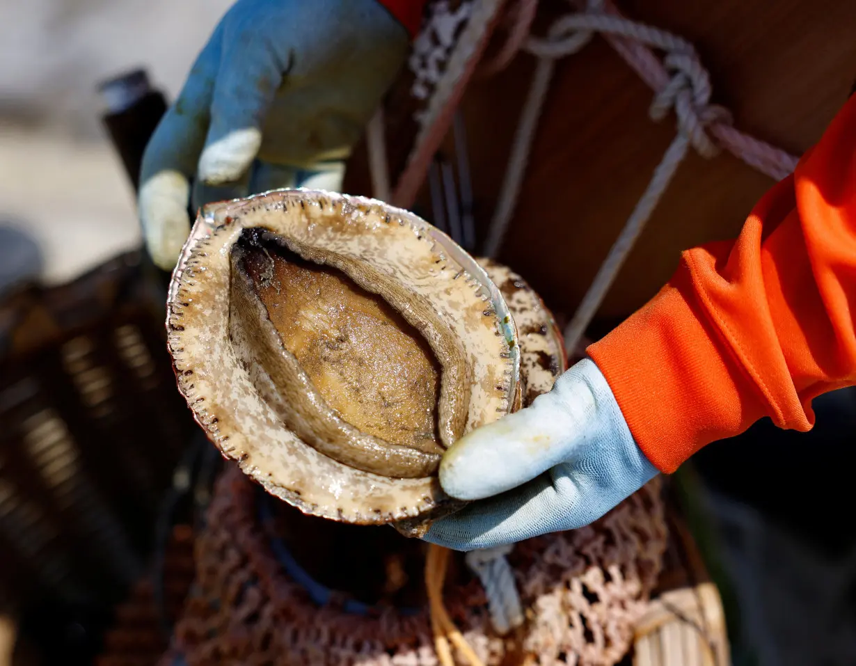 Short of female free divers, Japanese sea festival turns to volunteers