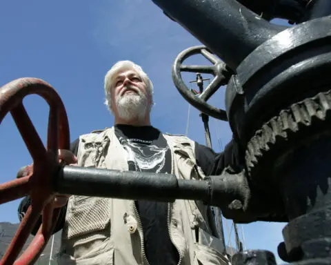Anti-whaling activist detained in Greenland at Japan's request