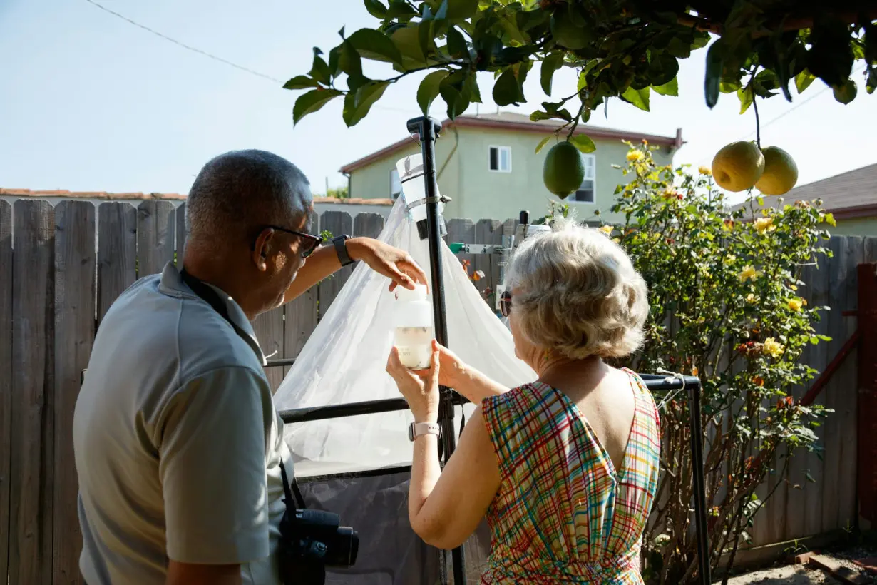 Bugs thrive in urban Los Angeles – volunteers’ traps reveal biodiversity hot spots for city insects and spiders