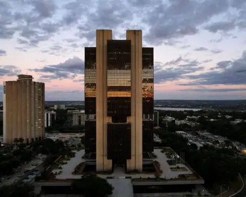 Brazil's central bank delays launch of new feature in popular payment system