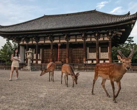 Japan may be sick of mass tourism. But the deer in this ancient UNESCO-listed city love it