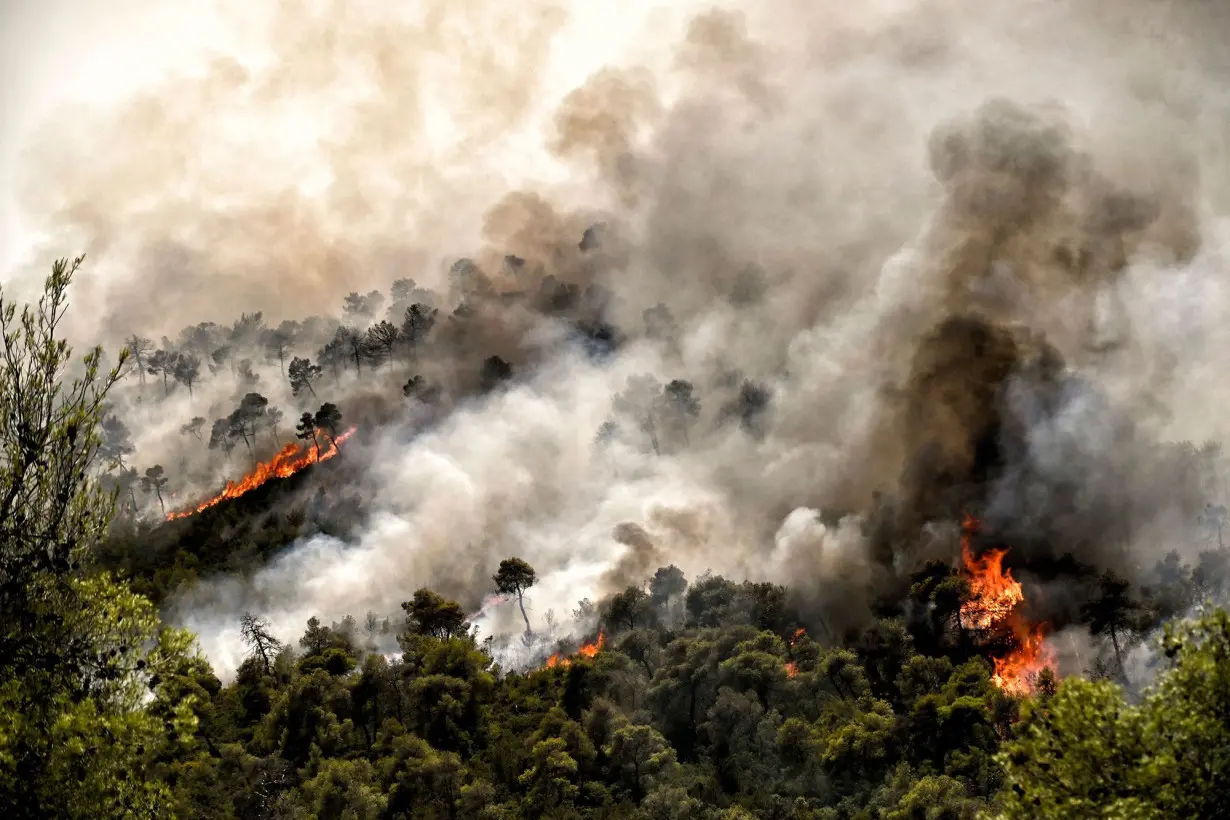 A wildfire burns at Sofiko near Corinth in Greece's Peloponnese region on July 17.