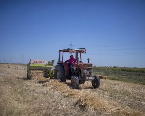 Climate change imperils drought-stricken Morocco’s cereal farmers and its food supply