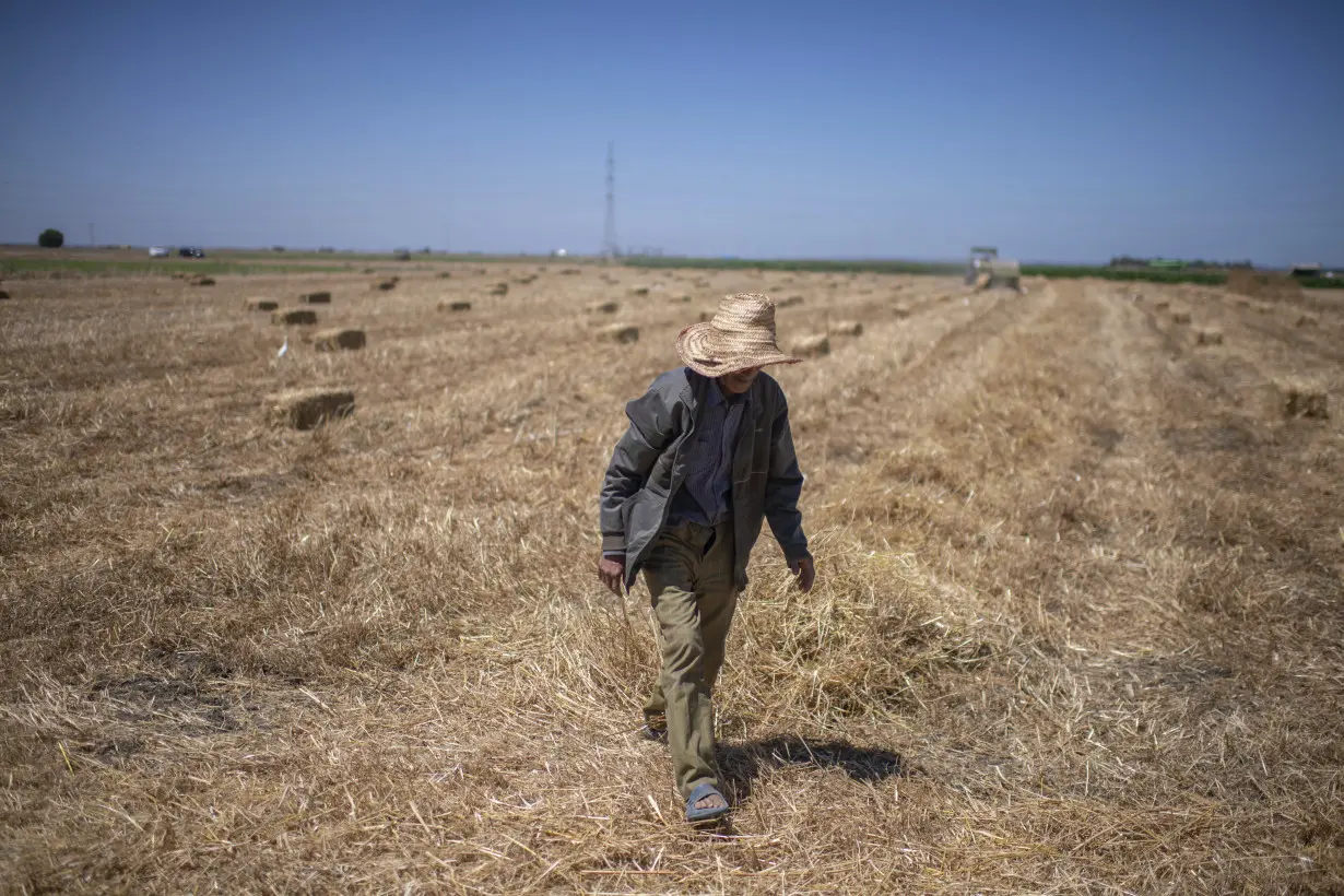 Climate change imperils drought-stricken Morocco’s cereal farmers and its food supply