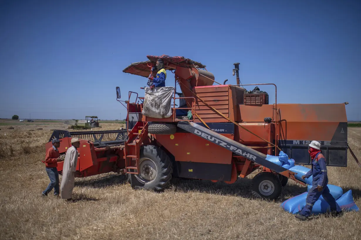 Climate change imperils drought-stricken Morocco’s cereal farmers and its food supply