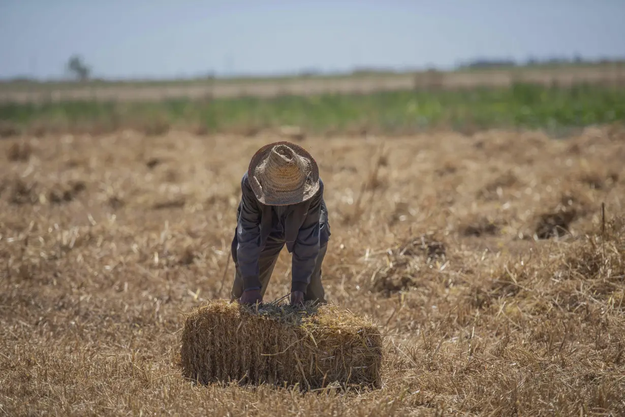 Climate change imperils drought-stricken Morocco’s cereal farmers and its food supply