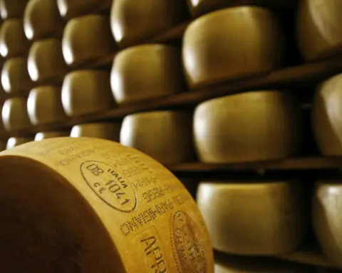 Cheesemaking is a complex science – a food chemist explains the process from milk to mozzarella