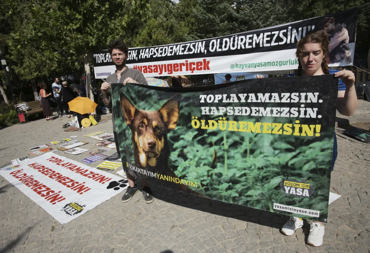 Turkey plans to regulate a large stray dog population, raising some fears about mass killings