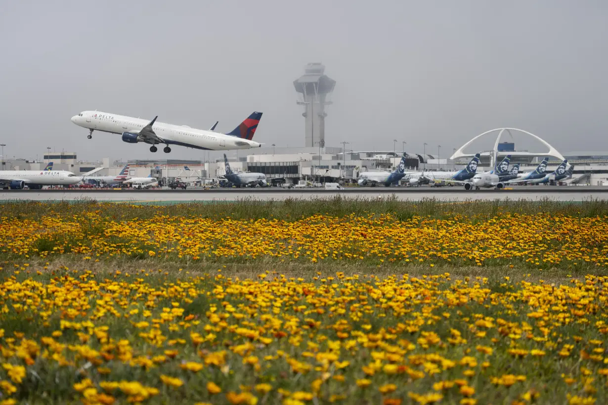 Tech Outage Delta