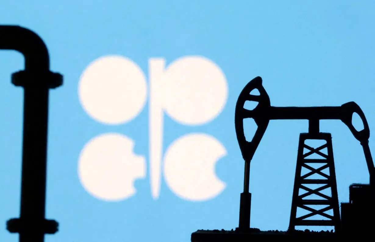 FILE PHOTO: Illustration shows OPEC logo