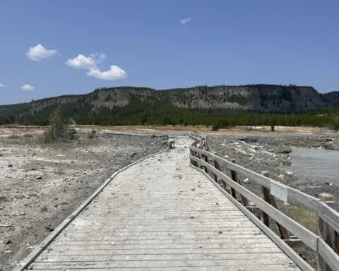 Surprise blast of rock, water and steam in Yellowstone sends dozens running for safety