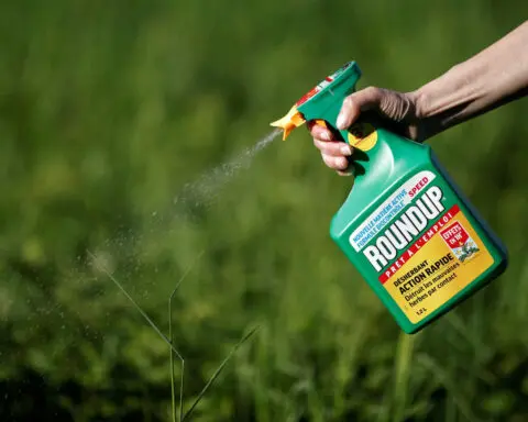 Australian judge dismisses lawsuit claiming Bayer weedkiller causes blood cancer